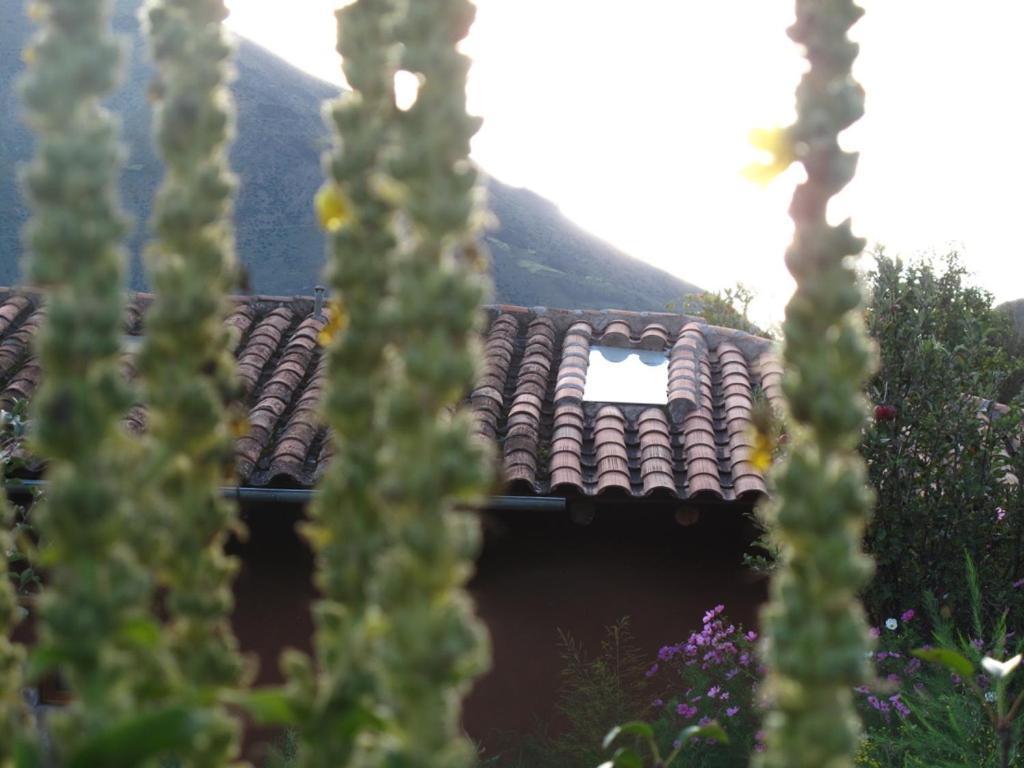 Casa De Aida Apartment Calca Luaran gambar